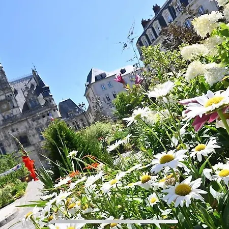 Superbe Et Chic Dans Le Centre De *